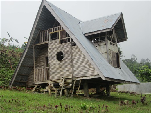 a unique designed of a house located in New Israel represents their culture, they called it 