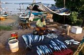 After fishing its time to sell the fish.
fish market in Sri Lanka. : by bakhtami, Views[354]