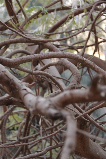 Actions 
I choosed this to be my last photo as it symbolizes what happens when the day dreamer keeps dreaming and never takes an action. the achiever will move on to a new step in his life and the dreamer will be in the same place and never moves a step. so always aspire and be an achiever 