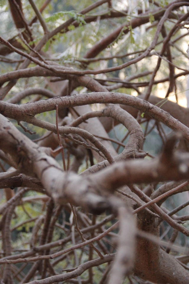 Actions 
I choosed this to be my last photo as it symbolizes what happens when the day dreamer keeps dreaming and never takes an action. the achiever will move on to a new step in his life and the dreamer will be in the same place and never moves a step. so always aspire and be an achiever 