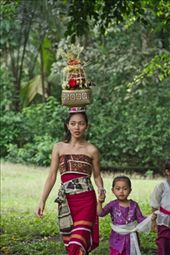 Temple  Ceremony  at  Tangan village  east  Bali: by balidean, Views[587]