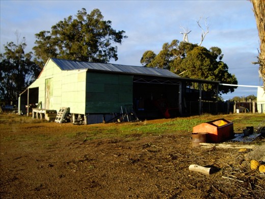My grandfather's shed.  Built over 50 years ago (with upkeep) I think it is still holding up well!