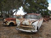 While these cars have seen better days, they definitely still look beautiful in their own way.: by balijup, Views[295]