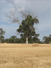 by balijup, Views[299]