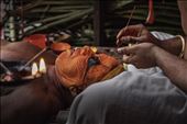 The costume as well as the facial make-up of each theyyam .: by bamboo-craft, Views[584]