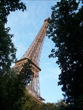 by bamboo, Views[173]