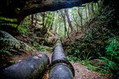 Pan pipes: by bamroberts, Views[250]