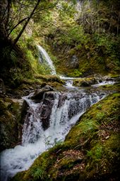 Beauty is in the eye of the waterfull : by bamroberts, Views[273]