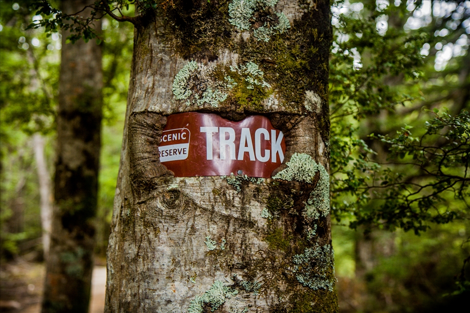 Off the beaten track