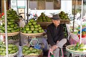 A man waiting for customers. Avocados were once unique fruit in Da Lat. That was the only place in Vietnam where you can find avocados. Nowadays, with the development of transportation, avocados are distributed all over the country and tourist are not coming to Da Lat for avocados anymore.: by baohan, Views[399]