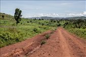 On the horizon: Jinja. This city, as many African cities is going through a rapid expansion due to rural urban migration and natural population growth. Being the second largest town in Uganda it now covers an area of approximately 28 square kilometers.
Whether it is for urban space or  for industrialized agricultural space, surrounding zones and forests are now at stake in this race for land.: by barbara_p, Views[1807]