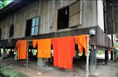 Orange robes dry outside the monk's dormitory. No washing machines or air conditioners here. The home built on stilts allows air to pass under the floorboards proving some relief from the oppressive heat. Siem Reap - Cambodia: by barendjr, Views[336]