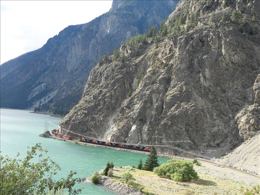 Nature meets Machine 