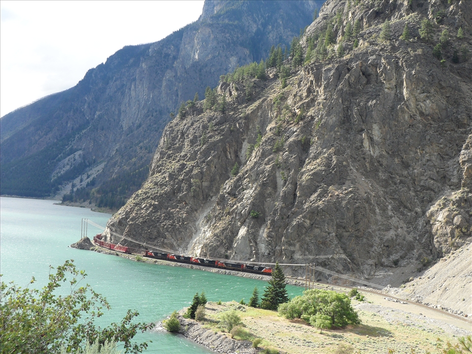 Nature meets Machine 