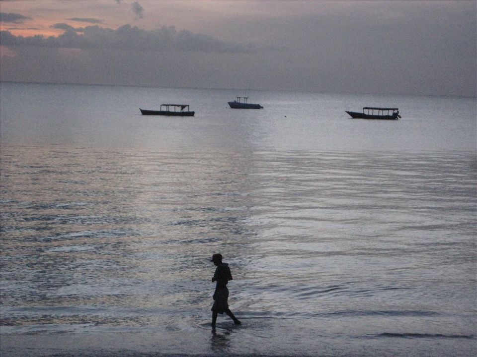 Pondering life before the storm