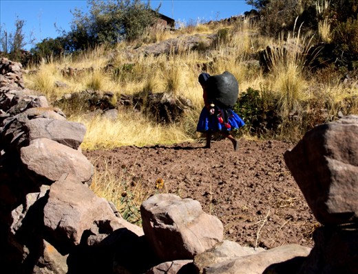 A woman walks home from the market with her goods. 