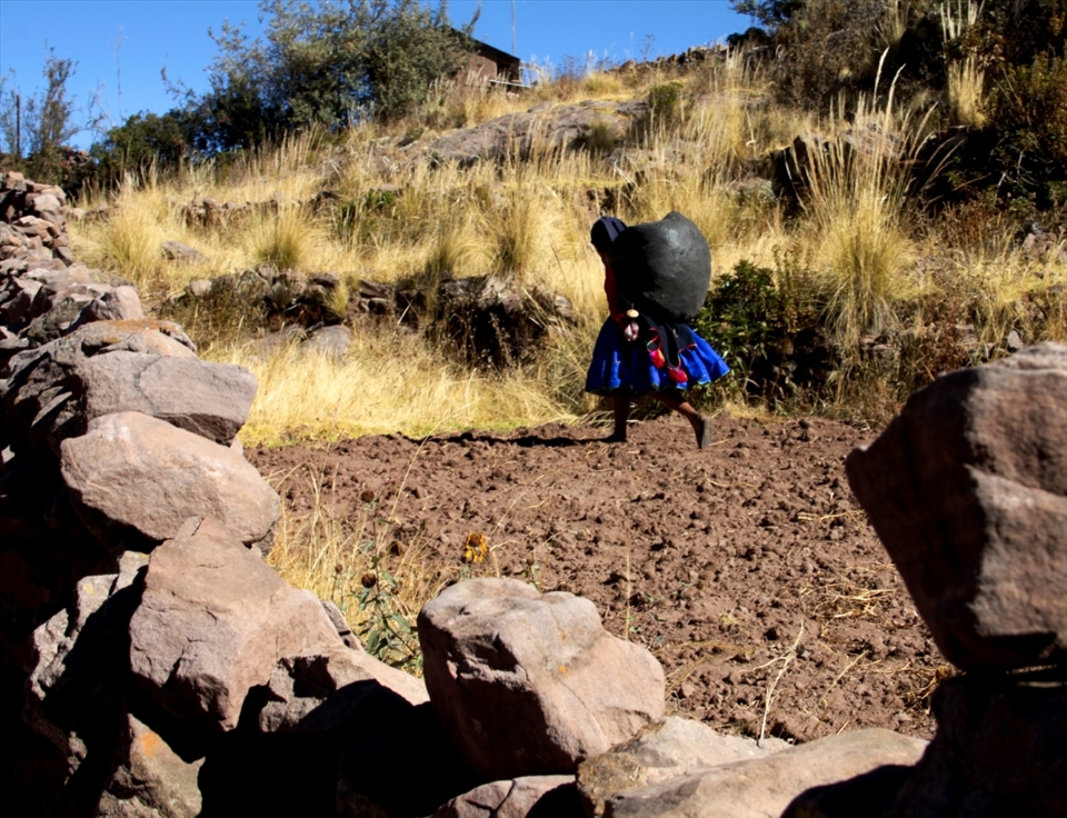 A woman walks home from the market with her goods. 