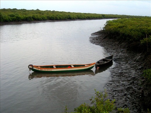 The Colors of My Country- India! (The next morning after the moonlight trek)