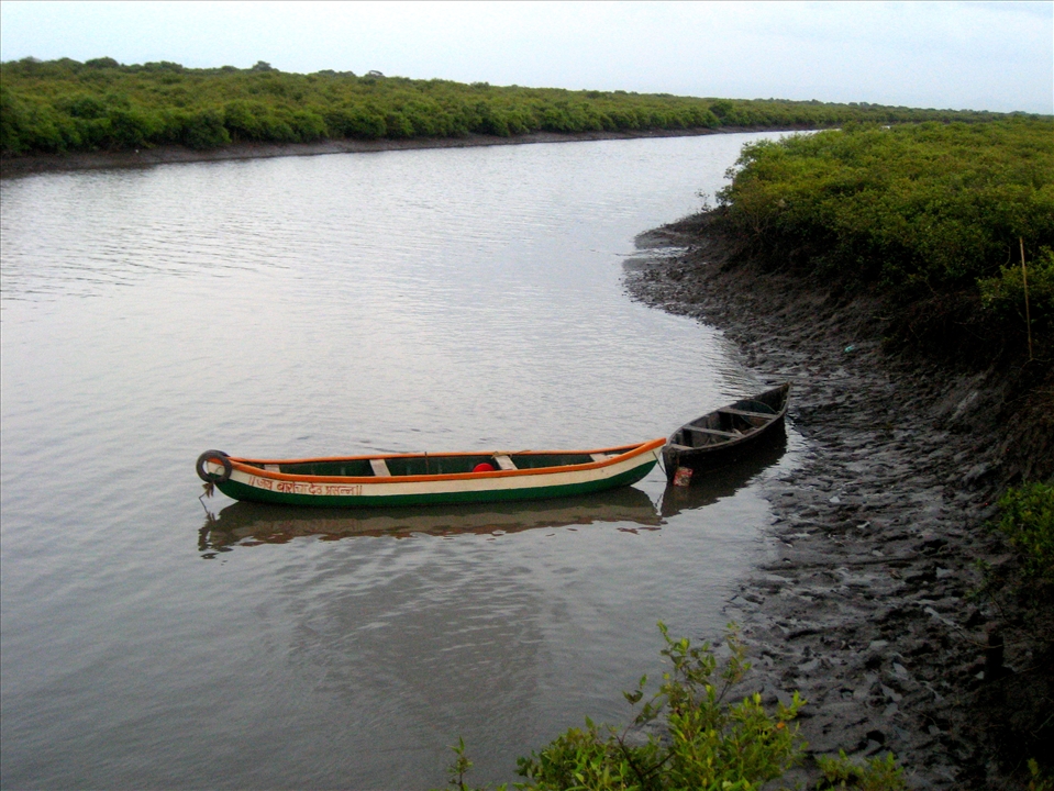 The Colors of My Country- India! (The next morning after the moonlight trek)