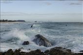 Raw power and energy draws men to the surf. : by beach, Views[339]