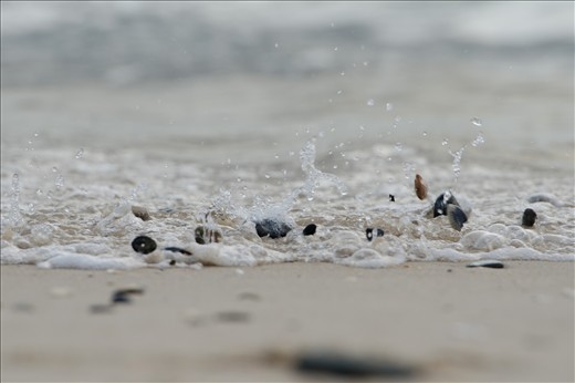 The tinkling of Dancing Shells on the shore.