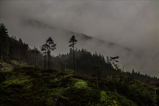 Taken from a moving car, eerie mist on the mountains.