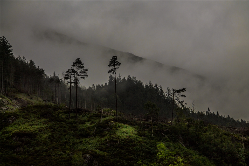 Taken from a moving car, eerie mist on the mountains.
