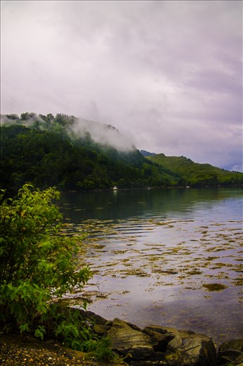 Where the faeries swim.