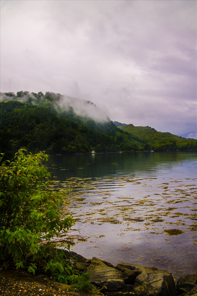 Where the faeries swim.