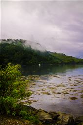 Where the faeries swim.: by beatrice, Views[187]
