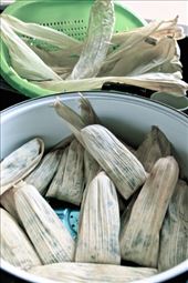 Tusa leaves ready to steam : by bebacastellan, Views[554]