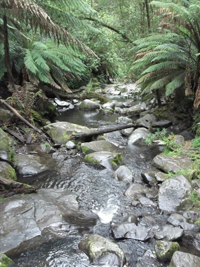  Erskine falls