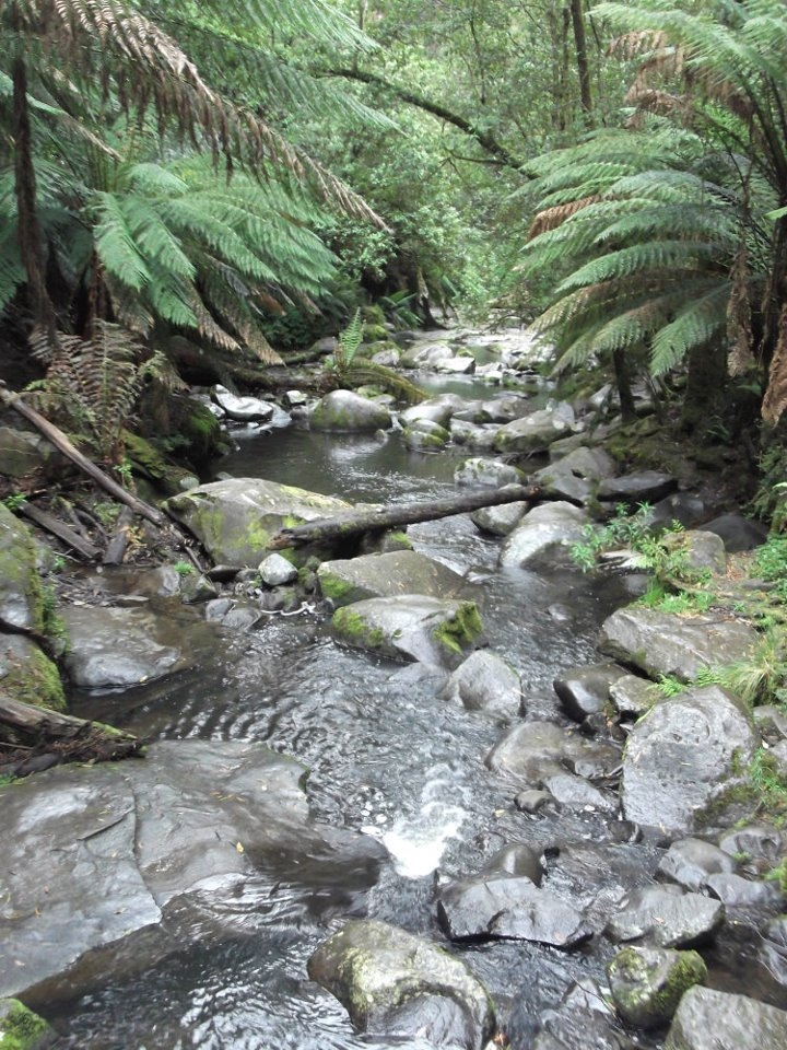  Erskine falls