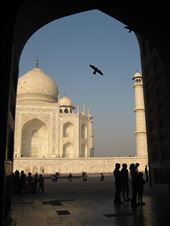 by beecycles, Views[138]