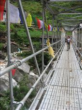 by beecycles, Views[312]