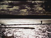 walk of God.: by beeksbrooks, Views[376]