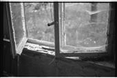 the view: by beelitz, Views[286]