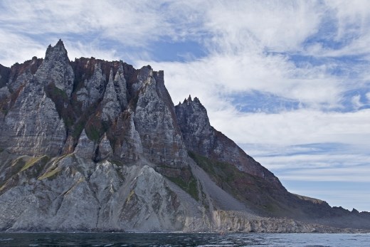 Brunnich's guillemots (Uria lomvia) and black-legged kittiwakes (Rissa tridactyla) are among the birds which migrate to the Arctic to breed. They choose rugged cliffs for their nest sites to gain protection from predators. One such nest site is this cliff on Baffin Island in the Akpait National Wildlife Area. It houses one of Canada's largest Brunnich's guillemots colonies.