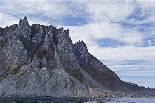 Brunnich's guillemots (Uria lomvia) and black-legged kittiwakes (Rissa tridactyla) are among the birds which migrate to the Arctic to breed. They choose rugged cliffs for their nest sites to gain protection from predators. One such nest site is this cliff on Baffin Island in the Akpait National Wildlife Area. It houses one of Canada's largest Brunnich's guillemots colonies.