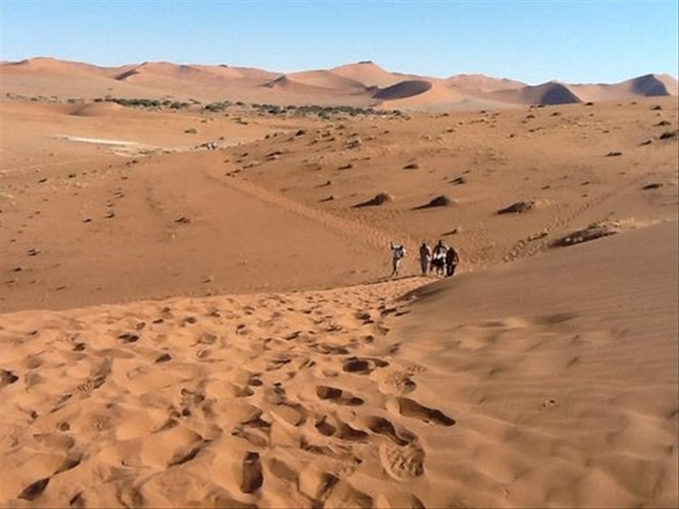 There once was a salt lake in Namibia near Dune 45. This area was cut off from the river by sand 600 years ago. Today you can trek 1.5kms to reach its centre, a white dried salt pad with black dead trees encircled by red sand dunes. Stunning.