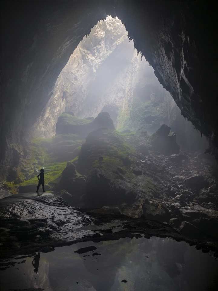 Natural rock frames a unique isolated ecosystem. Various plant species from the above forest grow on the doline, albeit with adaptations to make up for the lack of light and harder soil conditions.