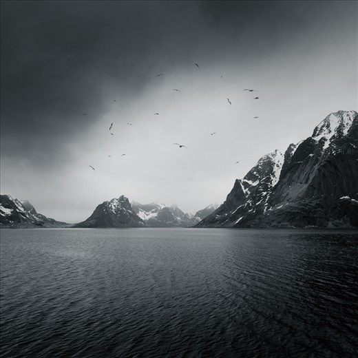 Land for the seagulls, Å, Lofoten Island