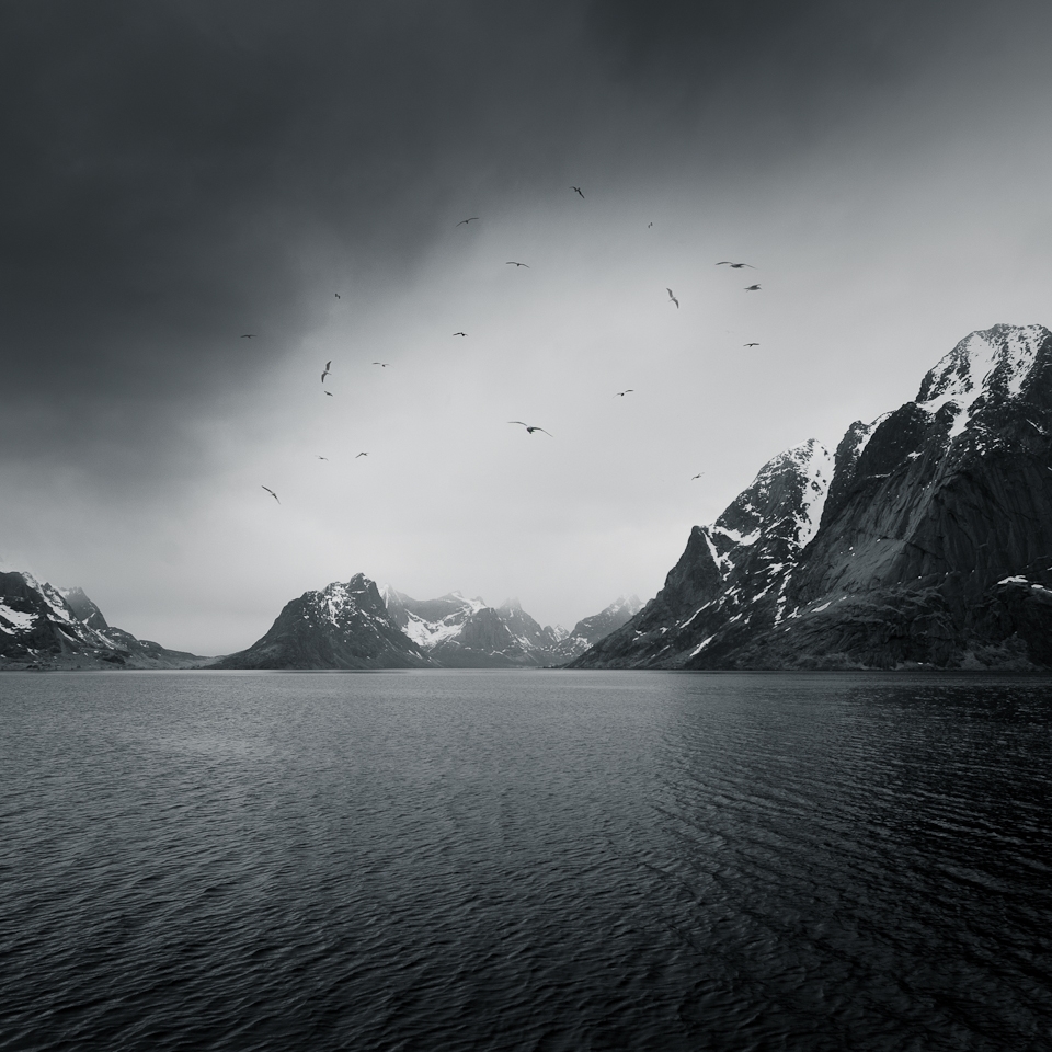 Land for the seagulls, Å, Lofoten Island