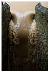 Interesting pattern created by flood going down the staircase: by beleznay, Views[330]