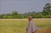 A lady overlooking her rice fields: by bellajane, Views[364]