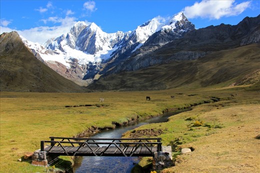 Morning sun shines across the jade valleys of the Cordillera Huayhuash as wild horses graze – Corillera Huayhuash, Peru
