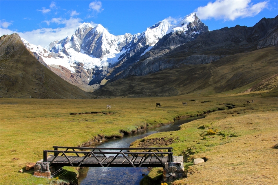 Morning sun shines across the jade valleys of the Cordillera Huayhuash as wild horses graze – Corillera Huayhuash, Peru