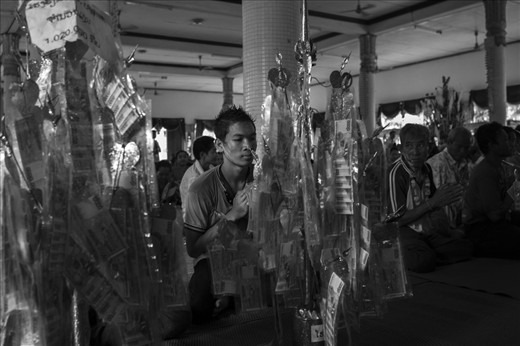 The money trees baring donatios for the temples where ceremonies performed