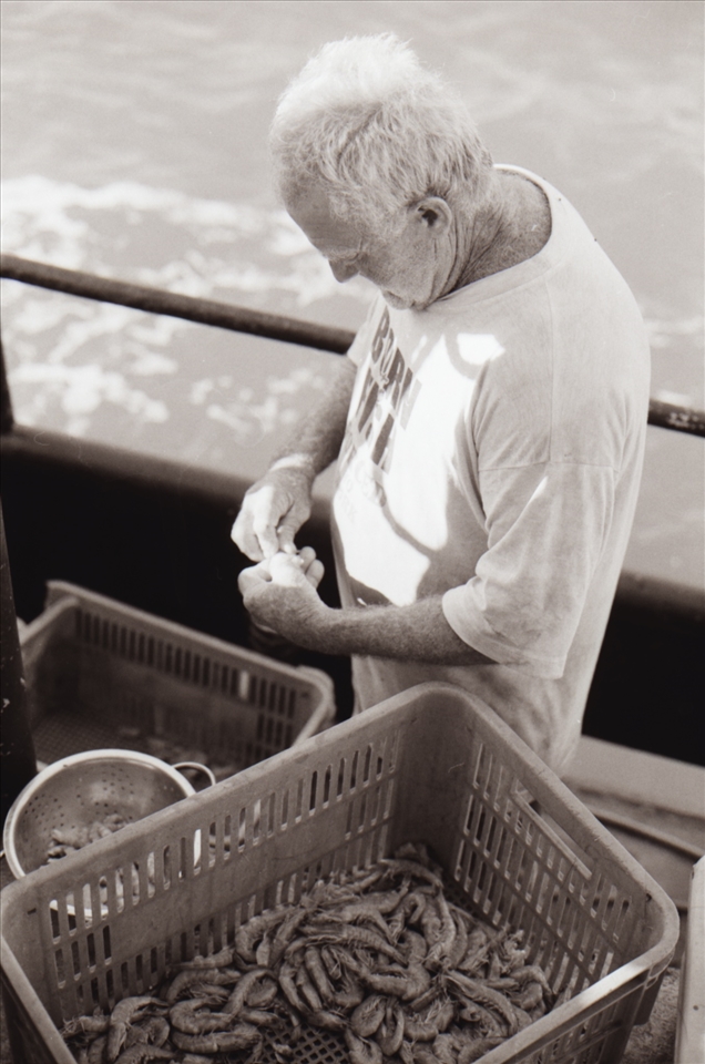 Since he first started working as a deckhand the prawn season has been shortened from all year to just 3 months in attempt to protect the area from over fishing. Eoin has always caught enough prawns to support his family but most family businesses have closed from the pressure of corporate owned commercial boats that only come for the short season.
He laments how regulations have pushed the smaller fishermen to find mining jobs.
“It doesn’t make sense, they make the season shorter but don't put a size limit on the boats. Each time the season gets shorter, the boats get bigger.”