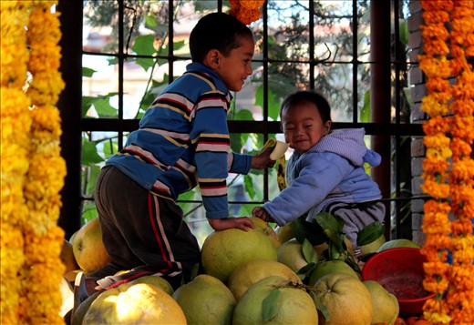 Two Brothers and a fruit shop